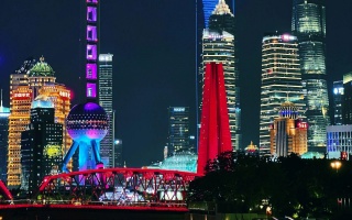 爱上海 FL：解密2025年婚恋江湖的机遇与陷阱
